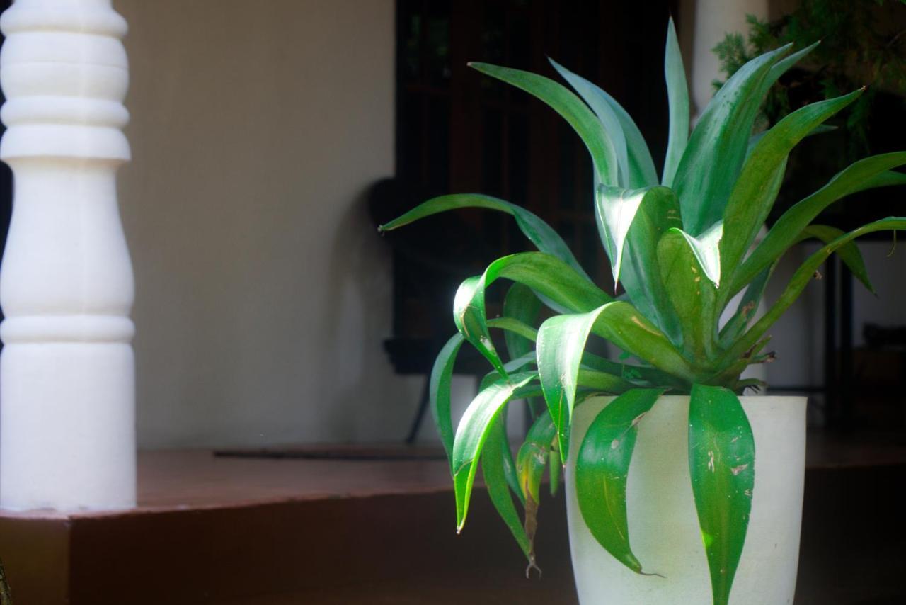 Jungle View Guesthouse Unawatuna Bagian luar foto